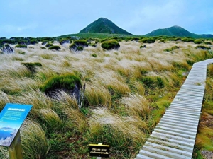 Image of pouakaifeb20i.jpg