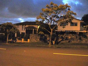 Image of prored09cdpoggy.jpg