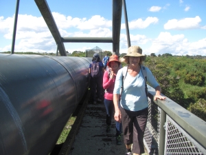 Image of puhinuimar18i.jpg