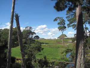 Image of puhinuimar18k.jpg