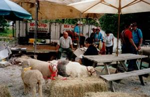 Image of puhoi03apshow.jpg