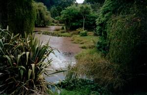 Image of puhoi03cheesefactorypond.jpg