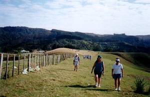 Image of puhoi03paddock.jpg