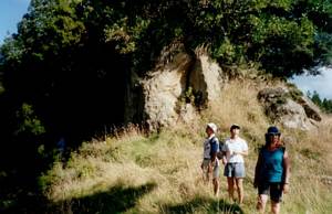 Image of puhoi03sugarloaf.jpg