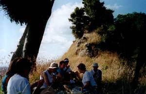 Image of puhoi03sugarloaf2.jpg