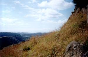 Image of puhoi03sugarloafview.jpg
