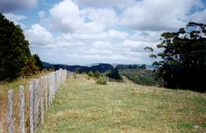 Image of puhoi03viewkaipara.jpg