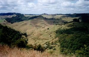 Image of puhoi03viewofreserve.jpg