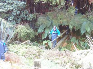 Image of puhoiabtc04bridgesecondstream.jpg