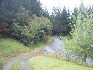 Image of puhoiabtc04endofinitialroadbash.jpg