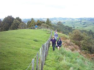 Image of puhoiabtc04fenceline.jpg