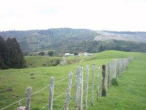 Image of puhoiabtc04finalstretch.jpg