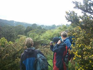 Image of puhoiabtc04firstridge.jpg