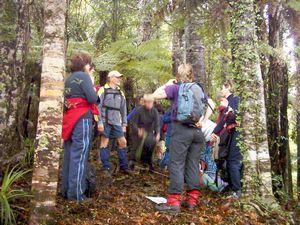 Image of puhoiabtc04inbushnearstart.jpg