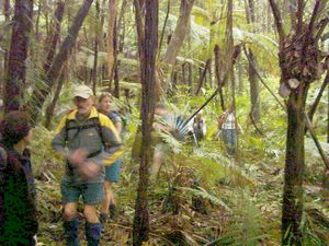 Image of puhoiabtc04streamfirstgully.jpg