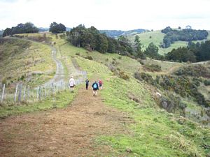 Image of puhoiabtc04walk2.jpg