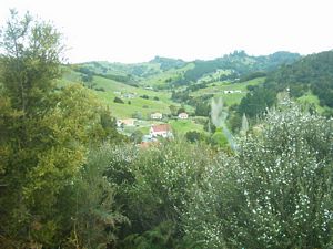 Image of puhoiabtc04walk2church.jpg