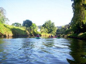 Image of puhoicanoemar07bastart.jpg