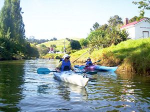 Image of puhoicanoemar07bbstart.jpg