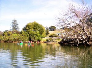 Image of puhoicanoemar07decanoes.jpg