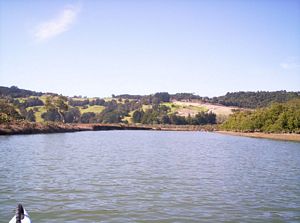 Image of puhoicanoemar07eariver.jpg