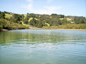 Image of puhoicanoemar07fbriver.jpg