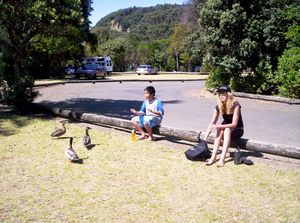 Image of puhoicanoemar07hcbread.jpg