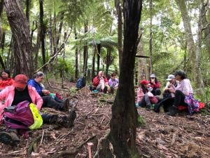 Image of puhoimay23d.jpg