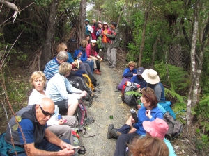 Image of puhoioct15e.jpg