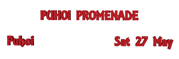 Image of puhoipromenademay23.gif