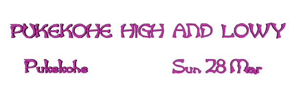 Image of pukekohehighandlowy.gif