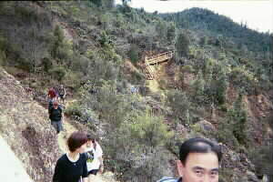 Image of puketuitrackslipq.jpg