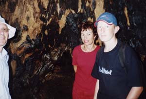 Image of pureora02insidetotaraq.jpg