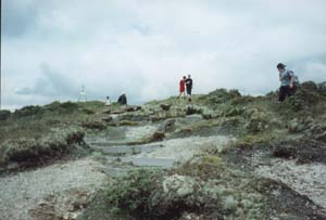 Image of pureora02nearsummitq.jpg