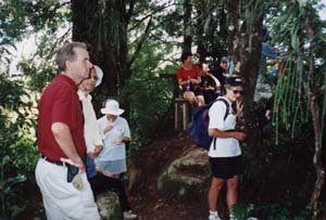 Image of pureora02rimutrackq.jpg