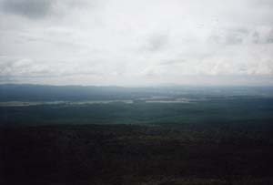 Image of pureora02summitnorthq.jpg