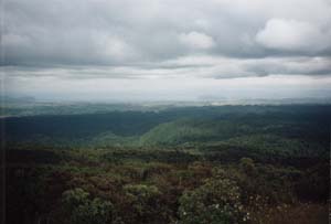 Image of pureora02summittaupoq.jpg