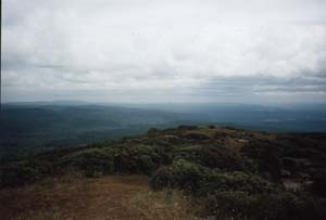 Image of pureora02summitwestq.jpg