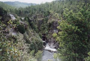 Image of pureora02waihahagorgeq.jpg