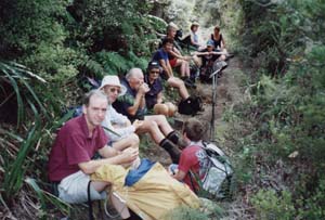 Image of pureora02waihaharestq.jpg