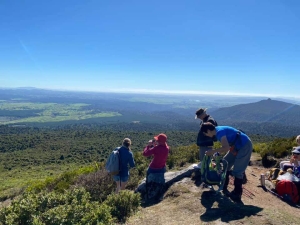 Image of pureoradaywalks21p.jpg