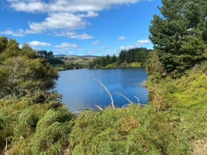 Image of pureoradaywalks21r.jpg