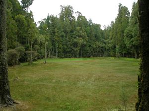 Image of pureorafeb09269waihoralagoon.jpg