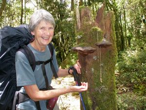 Image of pureorafeb09273valssunniesafter7yrs.jpg