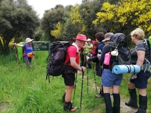 Image of pureoranov20c.jpg