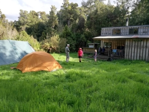 Image of pureoranov20e.jpg