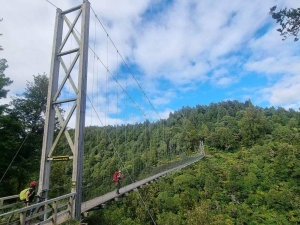 Image of pureoratimbertrail21c.jpg