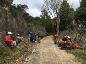 Image of pureoratimbertrail21m.jpg