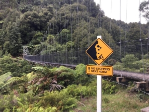 Image of pureoratimbertrail21r.jpg