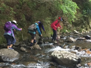 Image of pylonpeak16zc.jpg